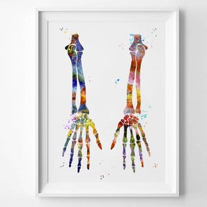 Hand Bones Watercolor Print Anatomy Human Print Anatomy Art Print Human ...