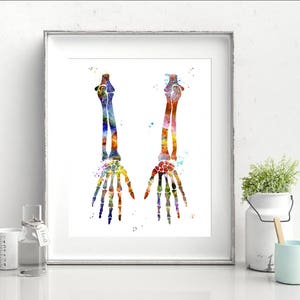 Stampa acquerello di ossa della mano, stampa umana, stampa artistica di anatomia, stampa artistica di anatomia, stampa di biologia del cranio umano, stampa artistica scientifica, stampa artistica di teschio umano, parete artistica (21-N17)