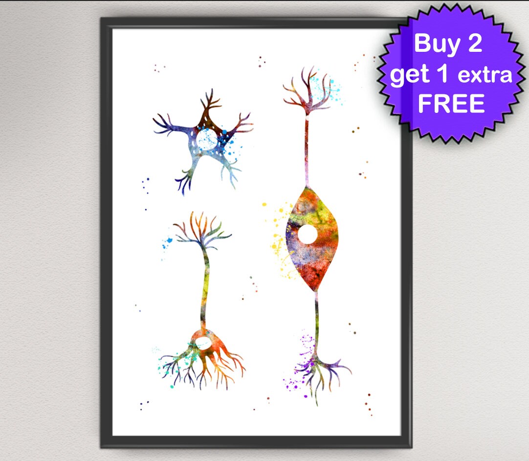 Neurons Cells Watercolor Art Print Neurons Synapses Print Brain Cells ...