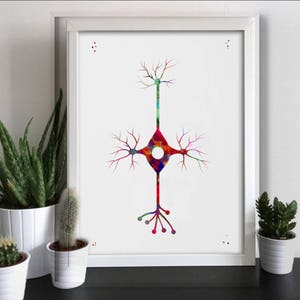 Neuron Cell Art Print Watercolor Neurons Synapses Print Brain Cells Watercolor Biology Art Science Poster Nerve Cells Medicine Art (21-Nº34)