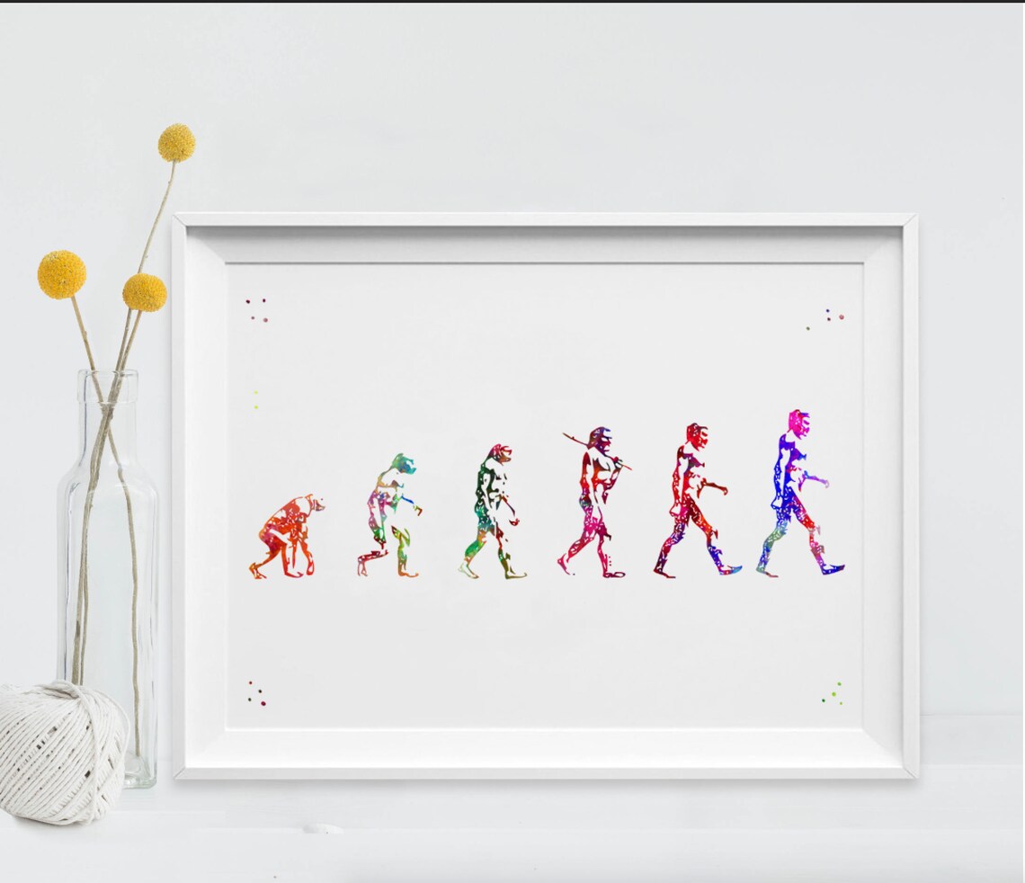 Evolution of Human Print Watercolor Ape Evolution Art Print Human Skull ...
