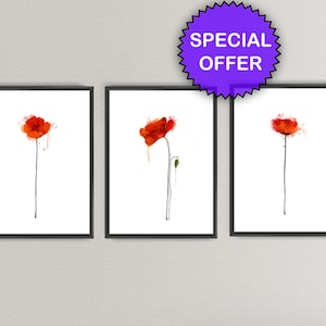 RED POPPY PACK Aquarelle Art Imprimer ensemble floral d’aquarelle coquelicot Imprimés Encre Coloré Anniversaire Cadeau d’art Imprimer idée cadeau de Noël (33)