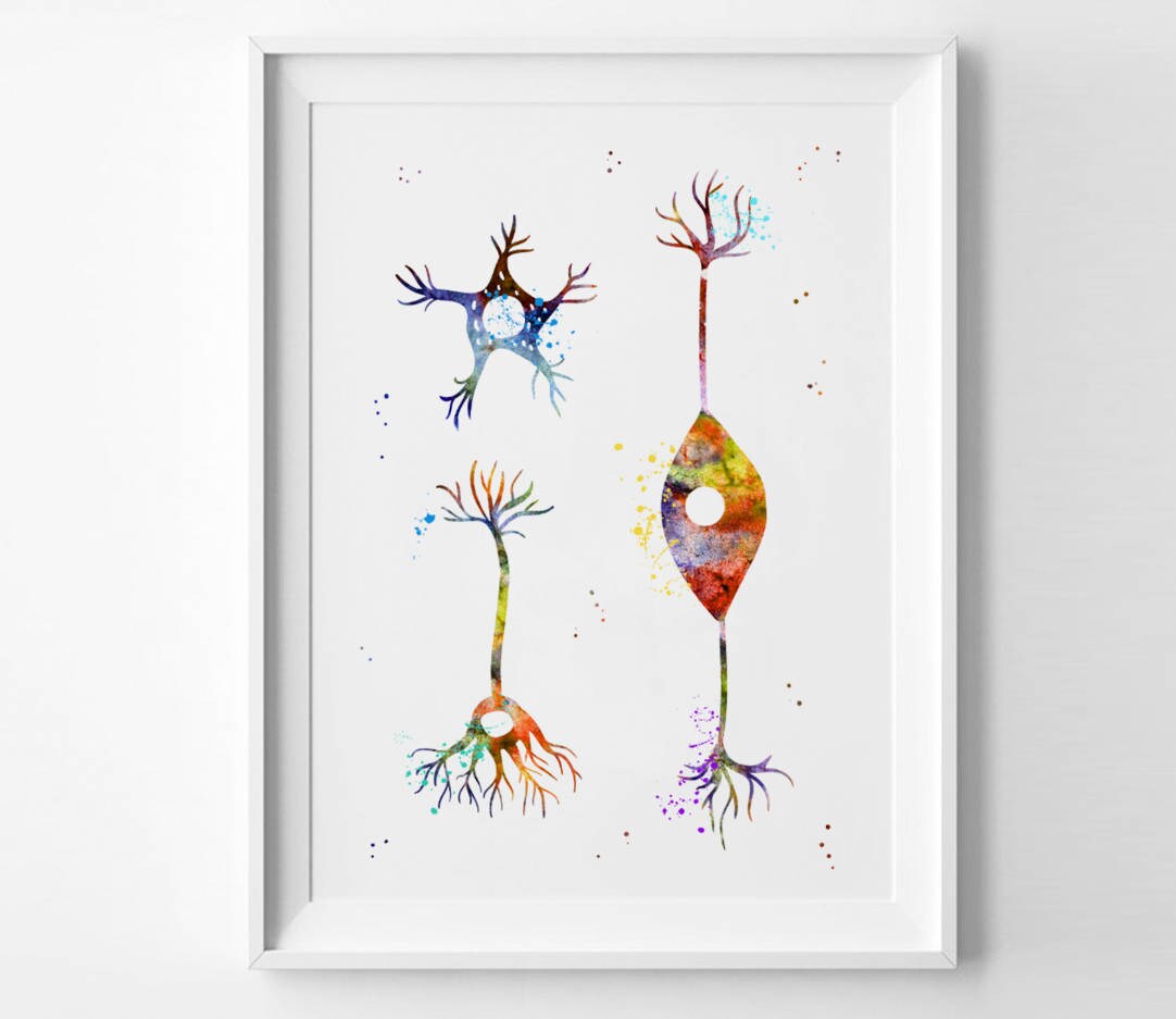 Neurons Cells Watercolor Art Print Neurons Synapses Print Brain Cells ...