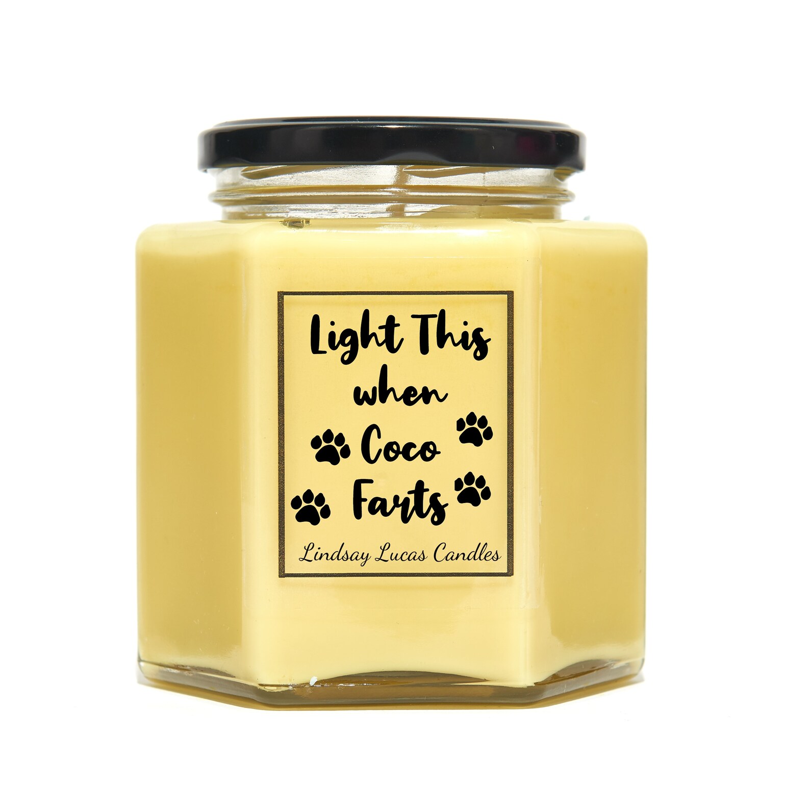 CUSTOM Dog Fart Funny Scented Candle Gift. Personalised Dog Etsy