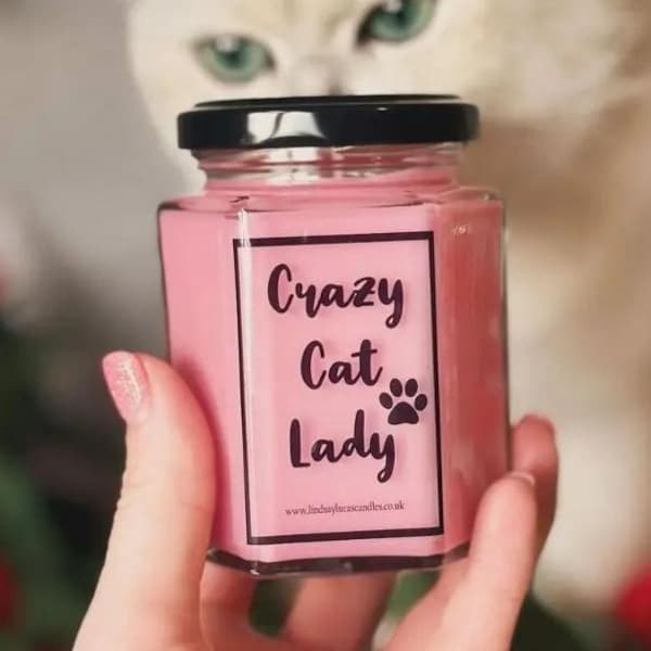 Vegan Pet Safe Candle Etsy UK