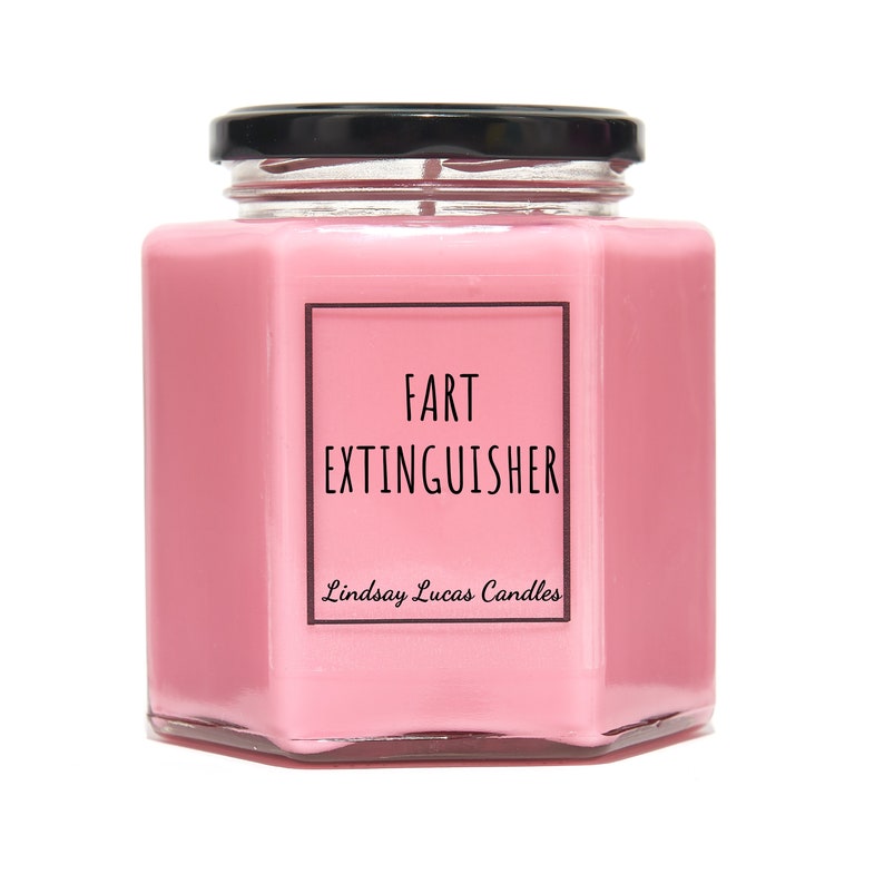 Fart Extinguisher Candle, Funny Gift For Boyfriend, Cheeky Gift, Funny Gift, Quirky Gift, Humorous Gift, Joke gift, Scented Candle, Candles bild 2