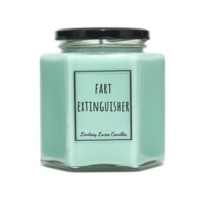 Fart Extinguisher Candle, Funny Gift For Boyfriend, Cheeky Gift, Funny Gift, Quirky Gift, Humorous Gift, Joke gift, Scented Candle, Candles bild 3