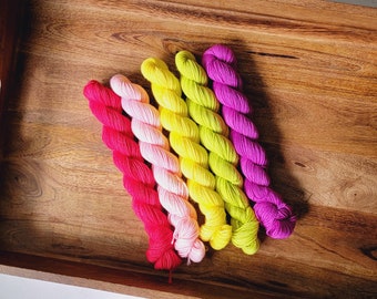 I'm More Than A Drag Queen Mini Set of 5 (20 gram) Standard Sock Fingering Weight Yarn - Hand Dyed Tonal Yarn Mini Skeins  MSS27