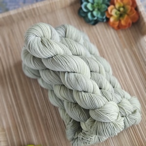 May include: A skein of pale sage green yarn twisted into a thick, braided rope shape. The yarn features a subtle tonal variation throughout the fibers, creating a soft, muted appearance. The skein is presented as a single, continuous unit.