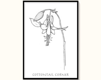 Flor de columbina, caneta e tinta, desenho à mão, download instantâneo, impressão de arte de parede