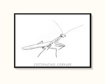May include: Black and white line drawing of a praying mantis with the text "Cottontail Corner" at the bottom of the image.