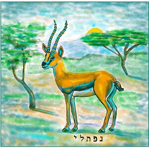 Twelve Tribes of Israel Box of 8 Assorted Blank Note Cards and Envelopes Your Choice image 4