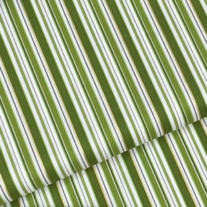 May include: Green and white striped fabric with gold accents. The fabric is folded in half, showing the pattern on both sides.