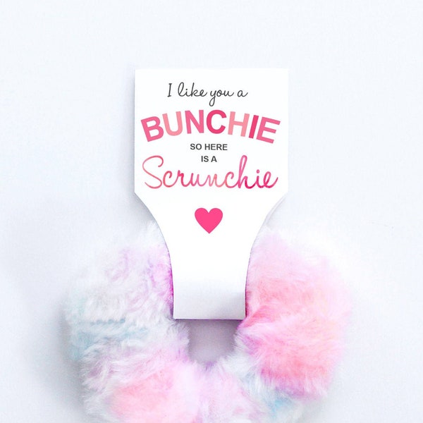 Scrunchie Valentines. Girl Teen Tween Hair Tie. Like you a Bunchie Here is a Scrunchie. Love is in the Hair. Kids Valentines. Printable. DIY