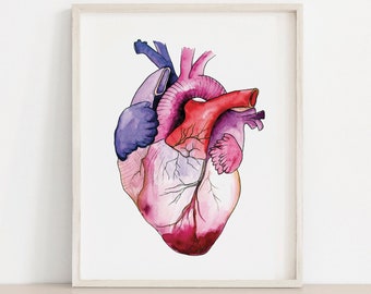 Human Heart watercolor Art Print