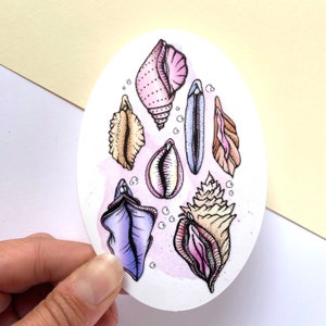 SheShells Vinyl Stickers