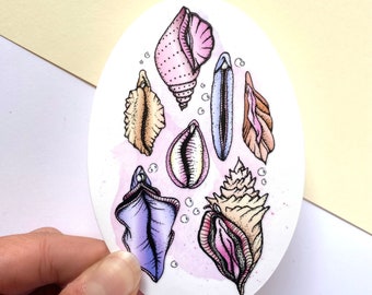 SheShells Vinyl Stickers