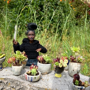 May include: A black doll with a black knitted sweater and blue jeans is standing in front of a table with a variety of small potted succulents. The succulents are in various colorful pots with white, blue, green, and yellow accents.
