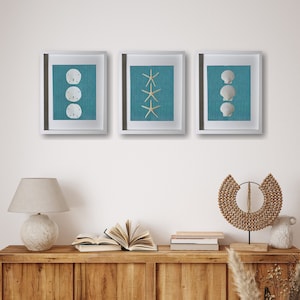 Ocean Blue Set of 3 11"x14" Coastal Shadowboxes | Framed Sand Dollars, Shells & Starfish | Handmade in Florida | Beach House Home Decor Art