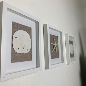 Coastal Shadowbox Set: Handmade Beach Art with Sand Dollar & Starfish