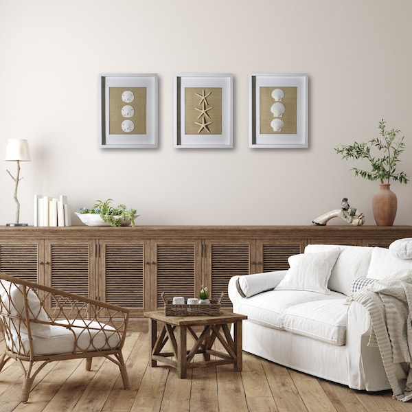 Sand Dollars Art Etsy