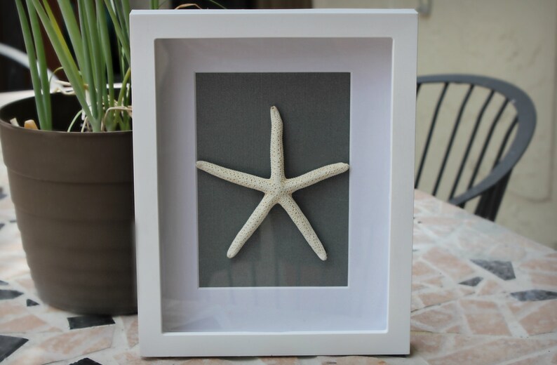 Sand Dollar and Starfish 8x10 Shadowbox Frame - Etsy Sand Dollar and Starfish 8x10 Shadowbox Frame - Etsy