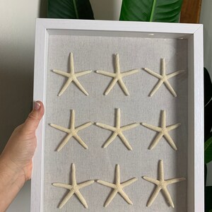 11”x14 Shadowbox Framed Custom Beach Art Sand Dollar/Starfish Beach Coastal Ocean Tropical Home Decor Wall Art