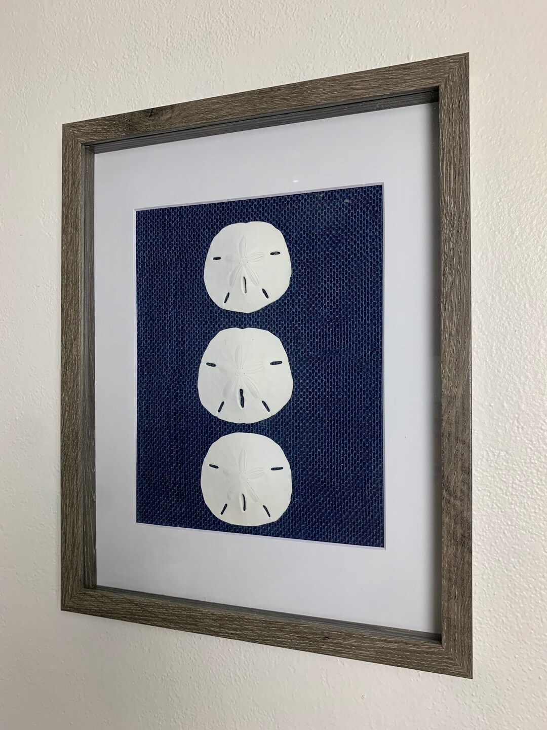Handmade Sand Dollar Shadowbox: Coastal Nautical Wall Art - Etsy