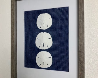 Sand Dollar Duo Shadowbox – Handmade Coastal Wall Art (11" X 14") - Etsy