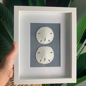 Coastal Home Wall Decor |  Real Sand Dollars in Shadowbox Frame | Handmade Beach Art + Burlap Background | | Perfect Personalized Gift