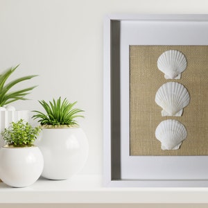 Sands of Serenity:  11"x14" Coastal Shadowbox - Scallop Seashells - Custom Handmade Wall Art - Beach House Ocean Home Decor - Minimalist Art
