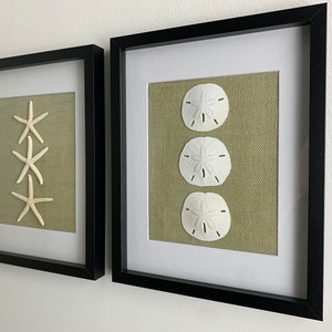Set of 2 Sand Dollar and Starfish 11x14 Shadowbox - Etsy