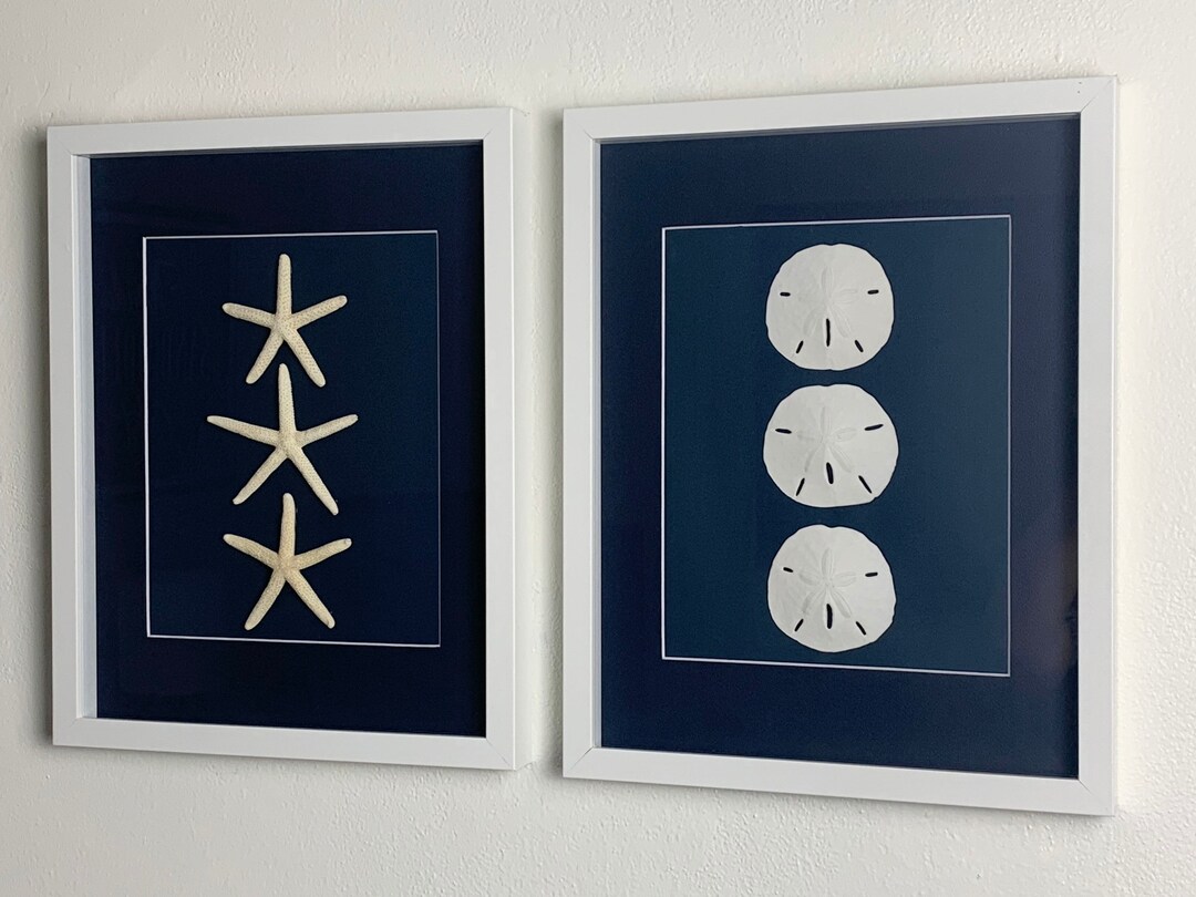 Set of 2 Sand Dollar and Starfish 11x14 Shadowbox - Etsy