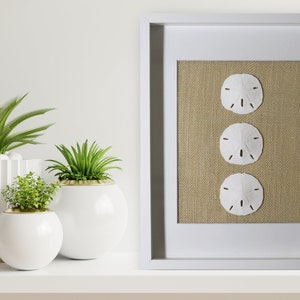 Sand Dollar Shadowbox Frame | Handmade Coastal Beach Home Decor | Nautical Wall Art + Custom Burlap Background | Perfect House Warming Gift