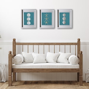 Ocean Blue Set of 3 11"x14" Coastal Shadowboxes | Framed Sand Dollars, Shells & Starfish | Handmade in Florida | Beach House Home Decor Art
