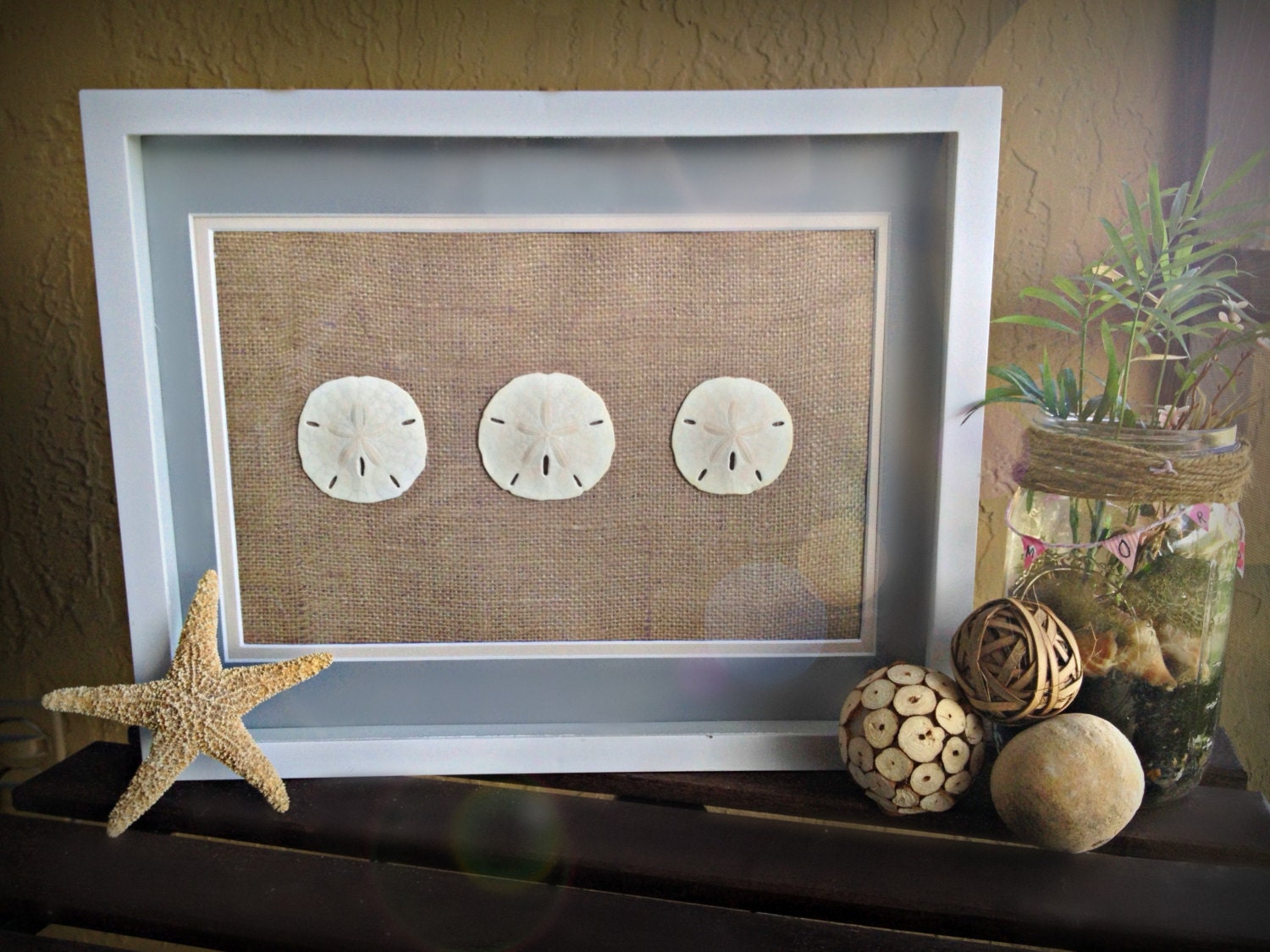 Sand Dollar Wall Art White Shadow Box 12X15 Frame | Etsy Sand Dollar Wall Art White Shadow Box 12X15 Frame | Etsy