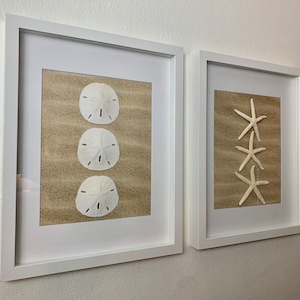 May include: Two framed prints with a beach theme. The print on the left features three sand dollars on a sandy background. The print on the right features three starfish on a sandy background.