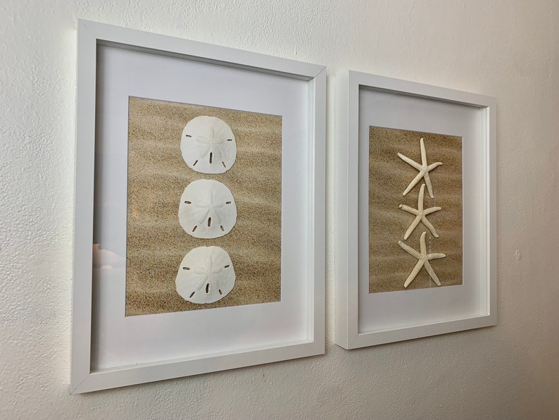 Coastal Shadowbox Set: Real Sand Dollar & Starfish Wall Art - Etsy