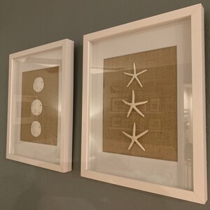 Set of 2 Sand Dollar and Starfish 11x14 Shadowbox - Etsy