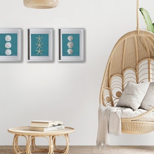 Ocean Blue Set of 3 11"x14" Coastal Shadowboxes | Framed Sand Dollars, Shells & Starfish | Handmade in Florida | Beach House Home Decor Art