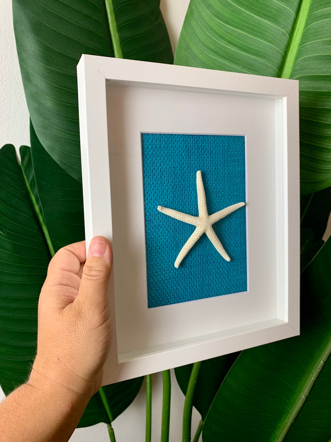 Coastal Shadowbox: Handmade Beach Art With Starfish, Sand Dollar or ...