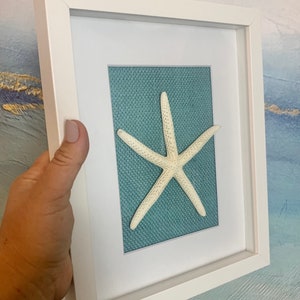 Coastal Home Wall Decor Custom Seaside Shadowbox |  Handmade Beach Art + Burlap Background | Choose a Sand Dollar, Starfish or Scallop Shell