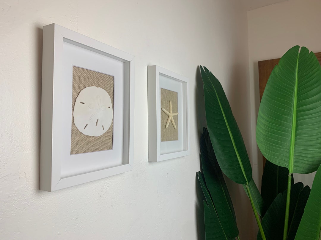 Coastal Shadowbox Set: Handmade Beach Art With Sand Dollar & Starfish ...