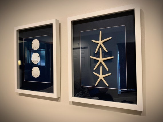 Starfish Sand Dollar Set Of Wall Art White Shadow Box Etsy Starfish Sand Dollar Set Of Wall Art White Shadow Box Etsy