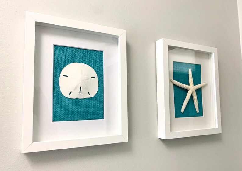 Coastal Shadowbox Set: Handmade Beach Art With Sand Dollar & Starfish ...