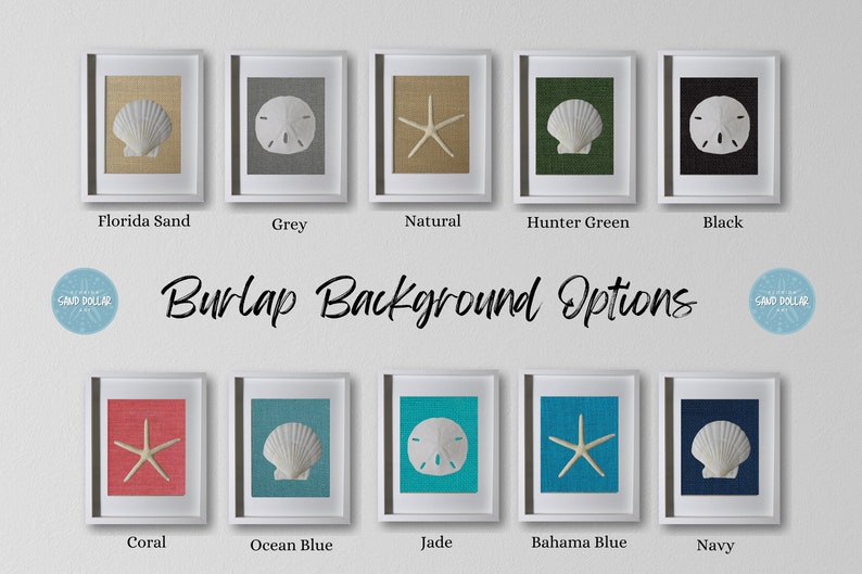 Coastal Shadowbox Set: Handmade Beach Art With Sand Dollar & Starfish ...