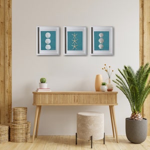 Ocean Blue Set of 3 11"x14" Coastal Shadowboxes | Framed Sand Dollars, Shells & Starfish | Handmade in Florida | Beach House Home Decor Art