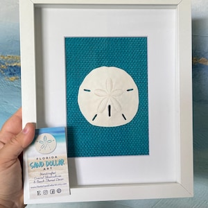 Coastal Shadowbox: Handmade Beach Art with Sand Dollar, Starfish, or Scallop