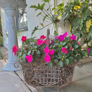 Victorian Ornate Metal Wire Twin Plant Flower Pots Holder Planter 9 x 14 x 14