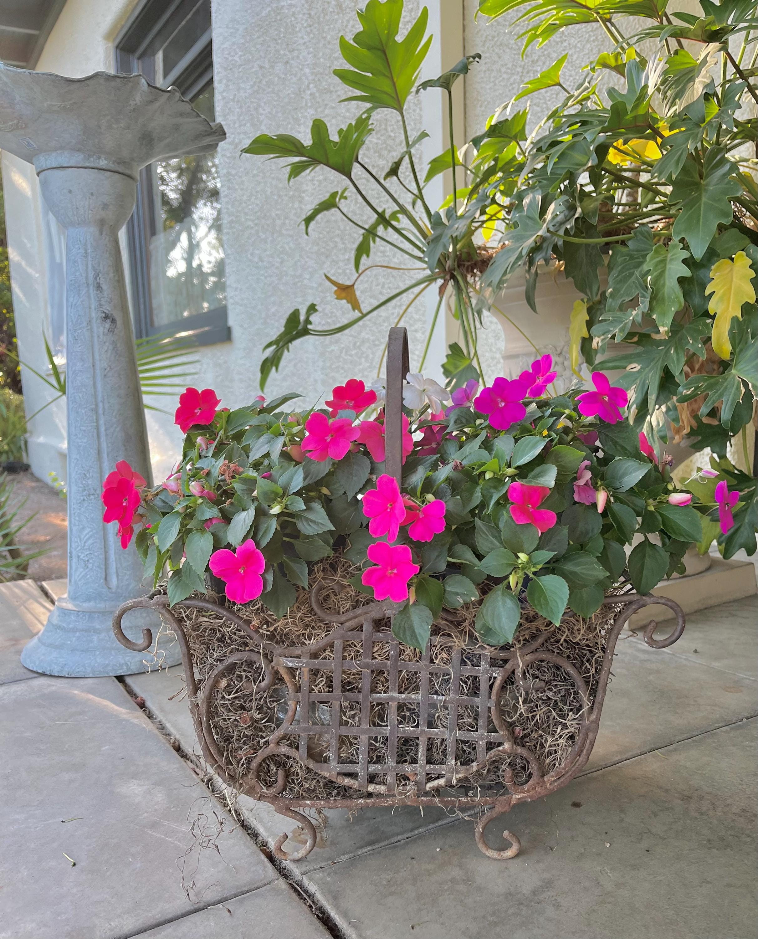Victorian Wire Plant Stand - Etsy